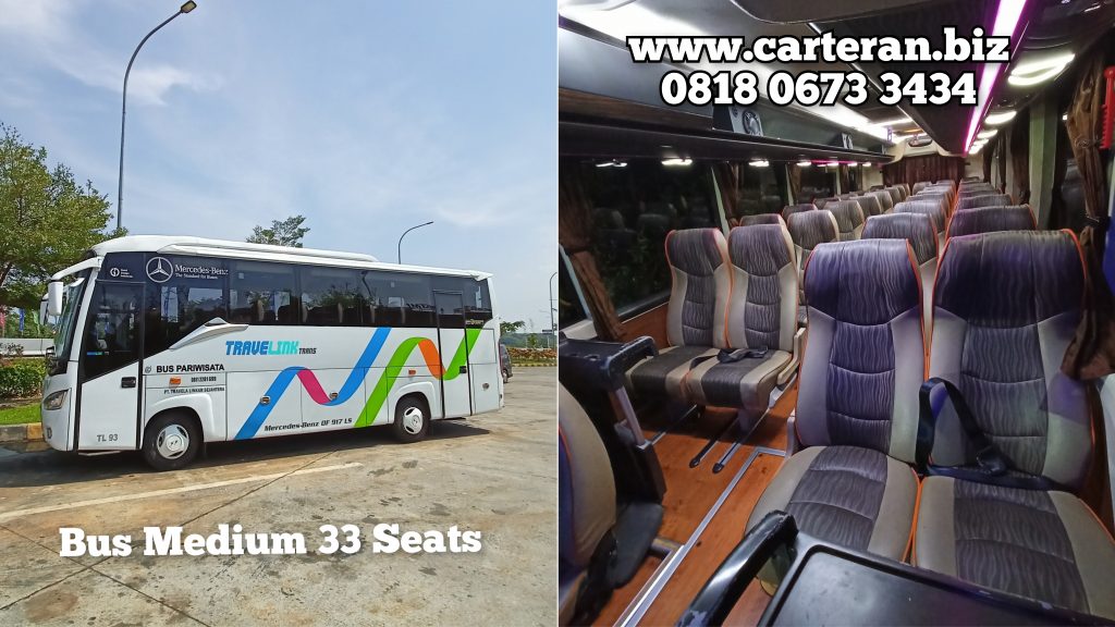 Bus Medium Pariwisata