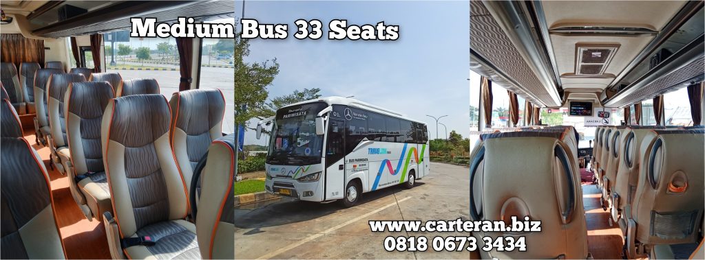 Medium Bus Tourista